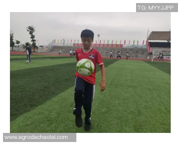 赵芳独家揭秘足球技巧与心得分享助你提升球技与战术理解