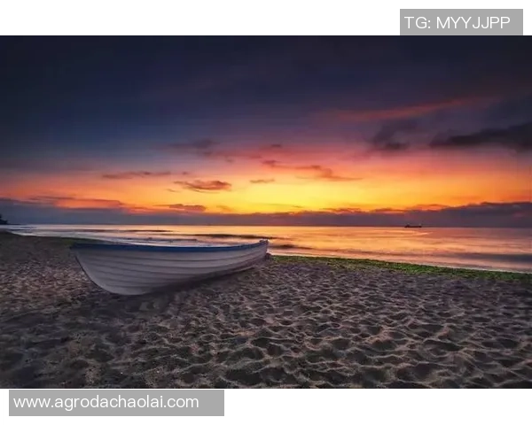 飞盘与梦想的交汇点吴静的运动人生与深度对话