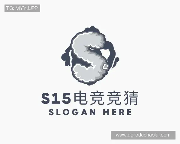 关于S15电竞竞猜